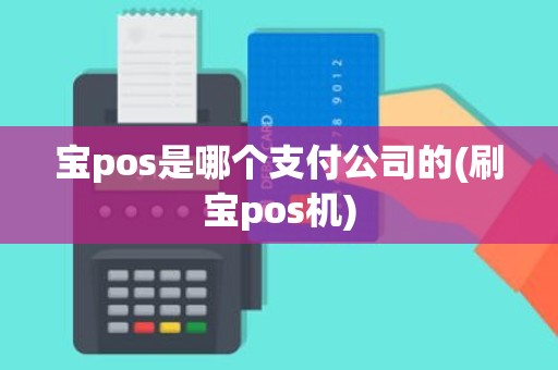 宝pos是哪个支付公司的(刷宝pos机)