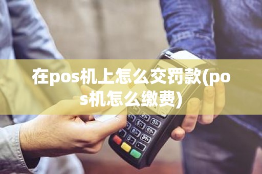 在pos机上怎么交罚款(pos机怎么缴费)