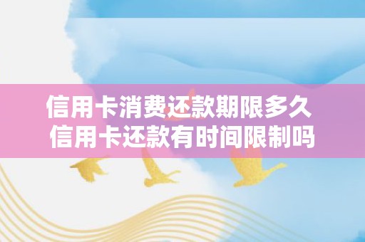 信用卡消费还款期限多久 信用卡还款有时间限制吗