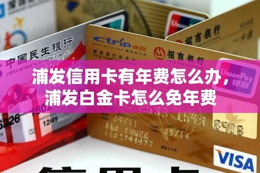 浦发信用卡有年费怎么办,浦发白金卡怎么免年费 浦发信用卡有年费怎么办,浦发白金卡怎么免年费