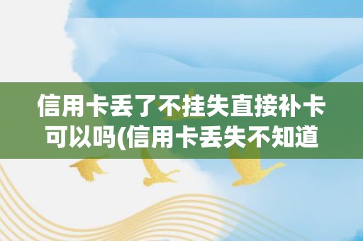 信用卡丢了不挂失直接补卡可以吗(信用卡丢失不知道卡号怎么挂失)