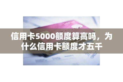 信用卡5000额度算高吗，为什么信用卡额度才五千