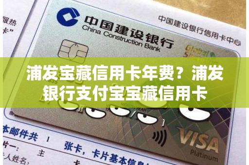 浦发宝藏信用卡年费？浦发银行支付宝宝藏信用卡