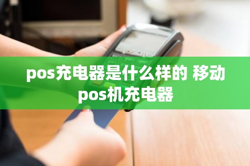 pos充电器是什么样的 移动pos机充电器