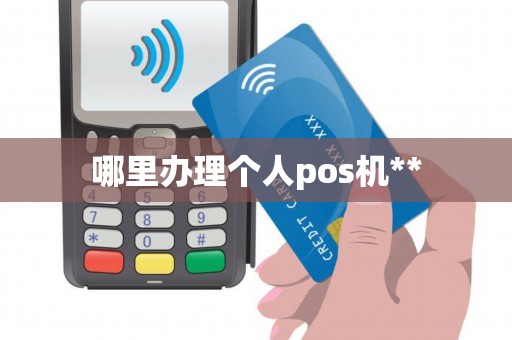 哪里办理个人pos机**
