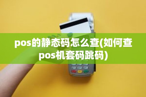 pos的静态码怎么查(如何查pos机套码跳码)