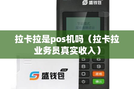 拉卡拉是pos机吗（拉卡拉业务员真实收入）