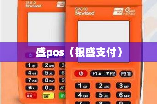 盛pos（银盛支付）