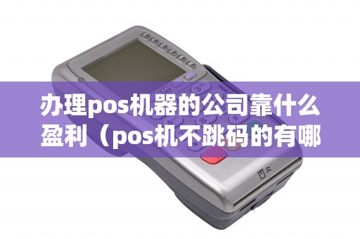 办理pos机器的公司靠什么盈利（pos机不跳码的有哪几家）