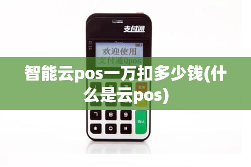 智能云pos一万扣多少钱(什么是云pos)