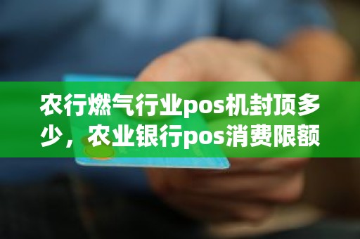 农行燃气行业pos机封顶多少，农业银行pos消费限额多少
