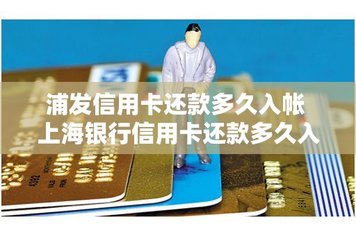 浦发信用卡还款多久入帐 上海银行信用卡还款多久入账