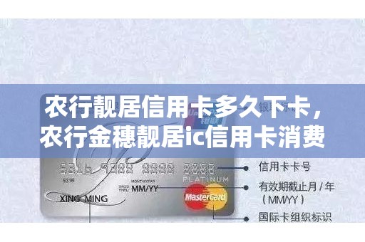 农行靓居信用卡多久下卡，农行金穗靓居ic信用卡消费手续费
