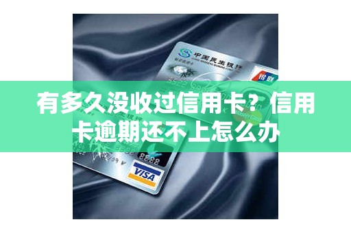有多久没收过信用卡？信用卡逾期还不上怎么办