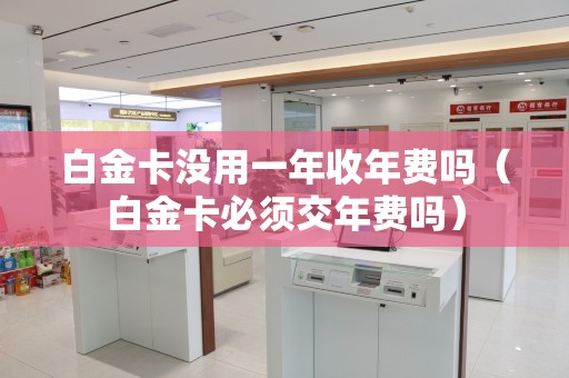建行全球支付白金卡最低额度_额度白金建行支付卡全球通用吗_建行全球支付白金卡额度