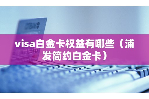 visa白金卡权益有哪些（浦发简约白金卡）