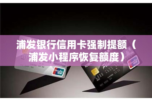 浦发银行信用卡强制提额（浦发小程序恢复额度）