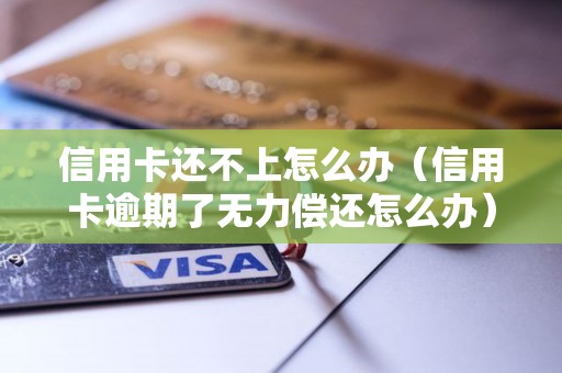 信用卡还不上怎么办（信用卡逾期了无力偿还怎么办）