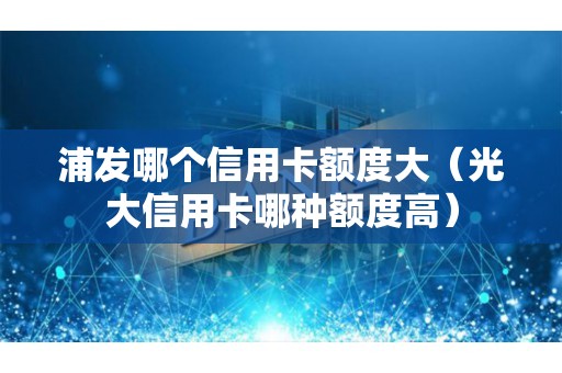 浦发哪个信用卡额度大（光大信用卡哪种额度高）