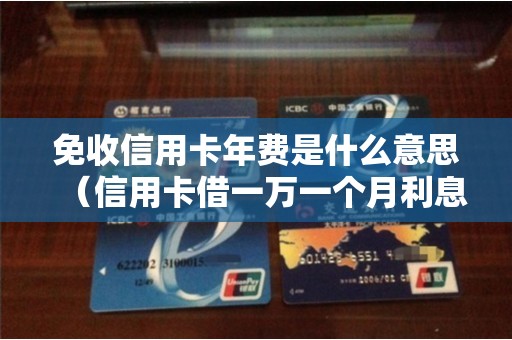 免收信用卡年费是什么意思（信用卡借一万一个月利息多少）