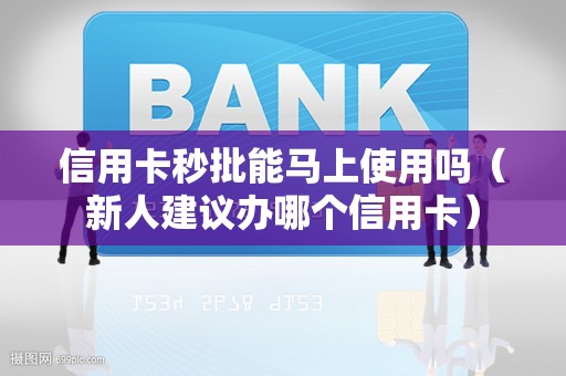 信用卡秒批能马上使用吗（新人建议办哪个信用卡）