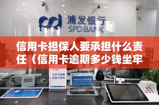 信用卡担保人要承担什么责任（信用卡逾期多少钱坐牢）