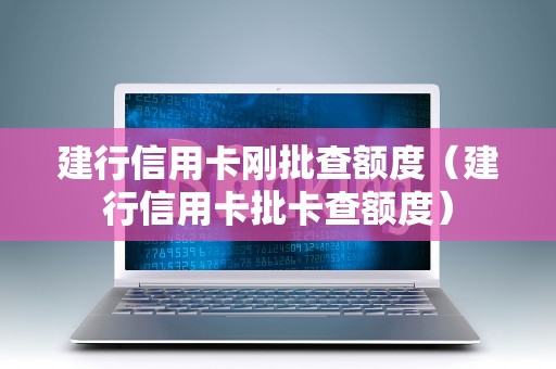建行信用卡刚批查额度（建行信用卡批卡查额度）