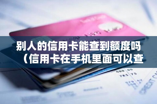别人的信用卡能查到额度吗（信用卡在手机里面可以查到额度了吗）