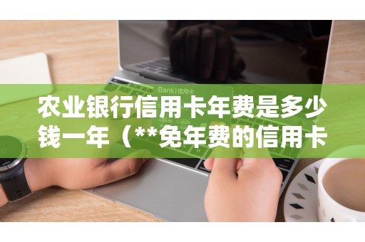 农业银行信用卡年费是多少钱一年（**免年费的信用卡）