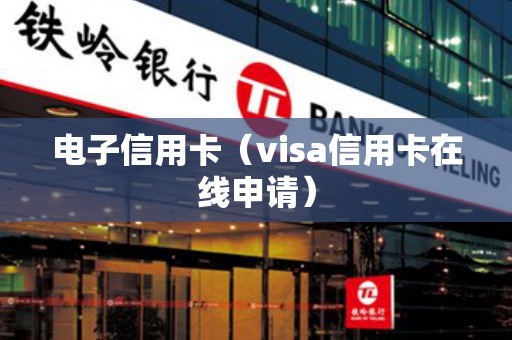 电子信用卡（visa信用卡在线申请）
