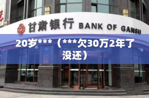 20岁***（***欠30万2年了没还）