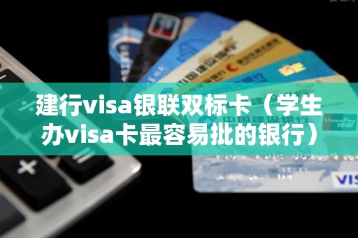 建行visa银联双标卡（学生办visa卡最容易批的银行）