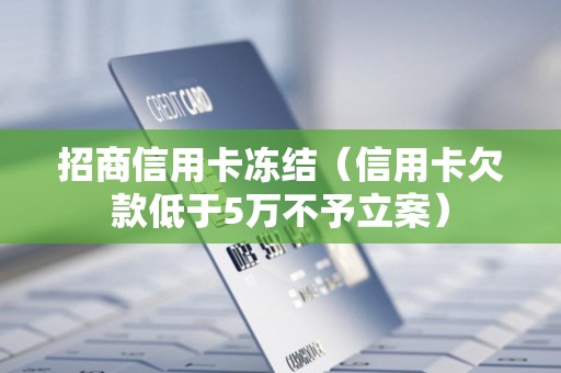 招商信用卡冻结（信用卡欠款低于5万不予立案）