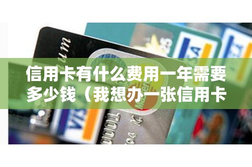 信用卡有什么费用一年需要多少钱（我想办一张信用卡急用）