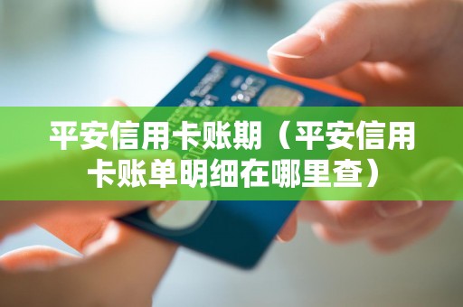 平安信用卡账期（平安信用卡账单明细在哪里查）