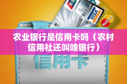 农业银行是信用卡吗（农村信用社还叫啥银行）