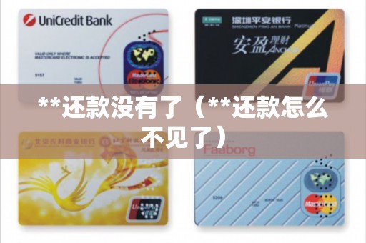 **还款没有了（**还款怎么不见了）