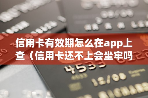 信用卡有效期怎么在app上查（信用卡还不上会坐牢吗）