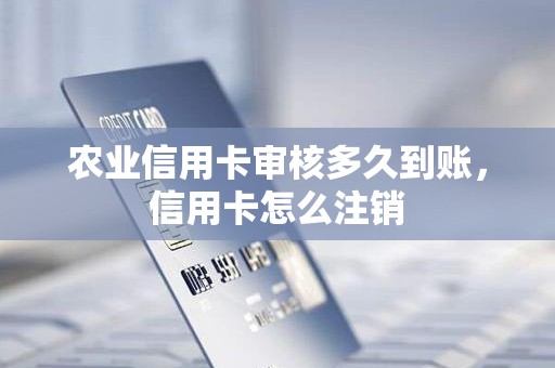 农业信用卡审核多久到账，信用卡怎么注销