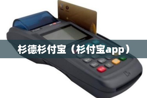 杉德杉付宝（杉付宝app）