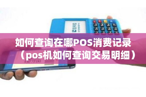 如何查询在哪POS消费记录（pos机如何查询交易明细）