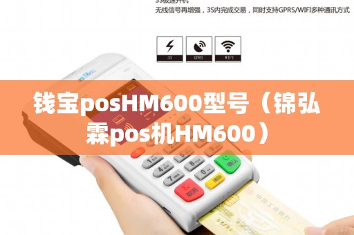 钱宝posHM600型号（锦弘霖pos机HM600）