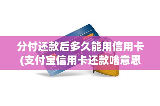 分付还款后多久能用信用卡(支付宝信用卡还款啥意思)