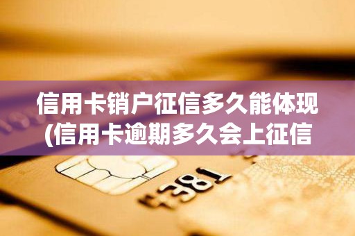 信用卡销户征信多久能体现(信用卡逾期多久会上征信)