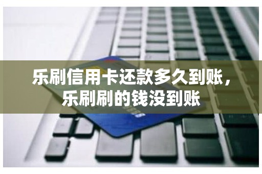乐刷信用卡还款多久到账，乐刷刷的钱没到账