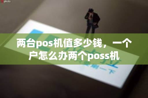 两台pos机值多少钱，一个户怎么办两个poss机