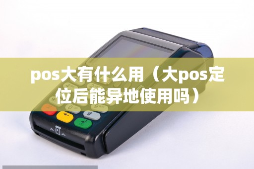 pos大有什么用（大pos定位后能异地使用吗）