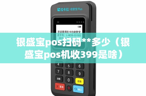 银盛宝pos扫码**多少（银盛宝pos机收399是啥）