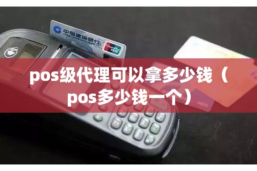 pos级代理可以拿多少钱（pos多少钱一个）