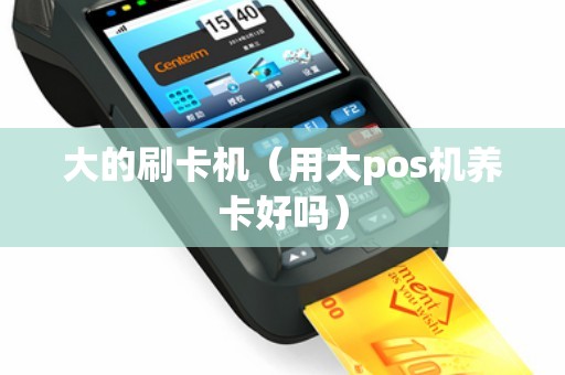 大的刷卡机（用大pos机养卡好吗）
